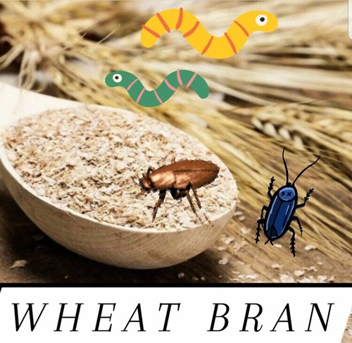 Wheat bran bedding - bran, gut-load